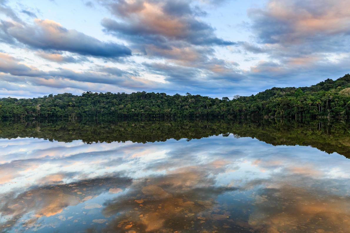 Lake Chalalan, Madidi National Park
